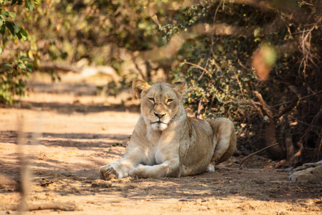Phalaborwa Accommodation - Thula Moya Self-Catering Cottage. 5 minutes from the Kruger National Park Phalaborwa Gate. Activities in Phalaborwa.