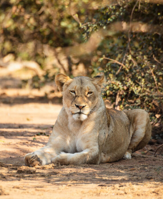 Phalaborwa Accommodation - Thula Moya Self-Catering Cottage. 5 minutes from the Kruger National Park Phalaborwa Gate. Activities in Phalaborwa.