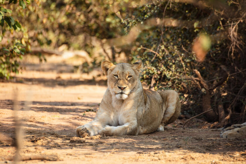 Kruger National Park