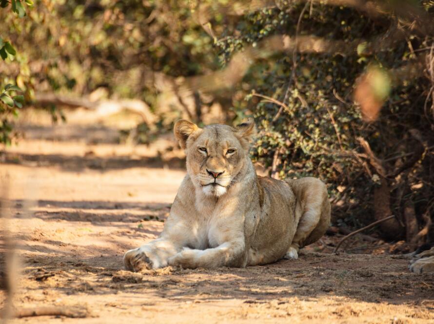 Phalaborwa Accommodation - Thula Moya Self-Catering Cottage. 5 minutes from the Kruger National Park Phalaborwa Gate. Activities in Phalaborwa.