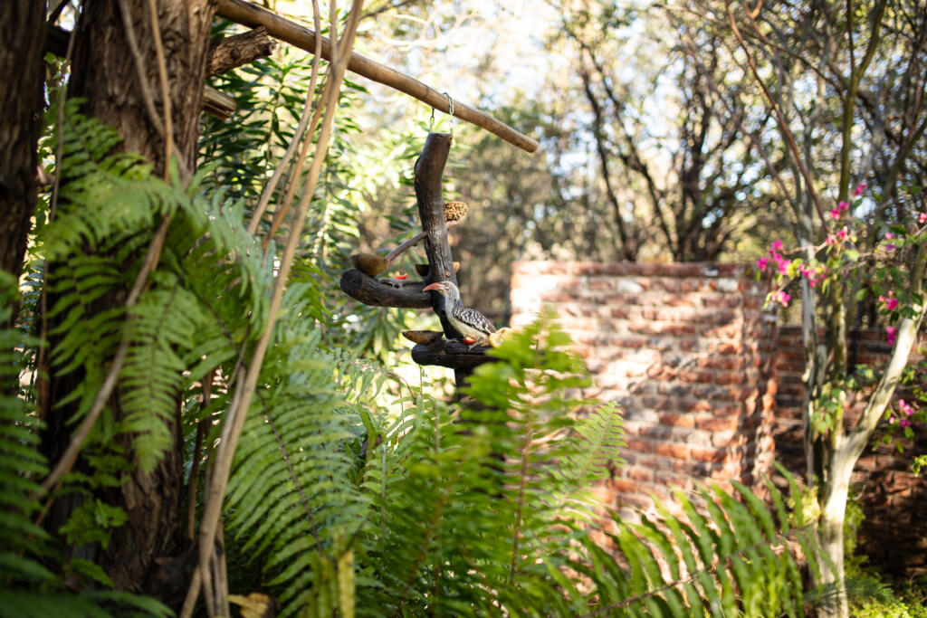 Phalaborwa Accommodation - Thula Moya Self-Catering Cottage. 5 minutes from the Kruger National Park Phalaborwa Gate. Limpopo Accommodation.